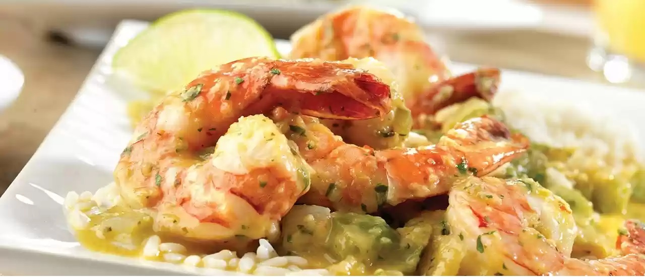 Caribbean Shrimp